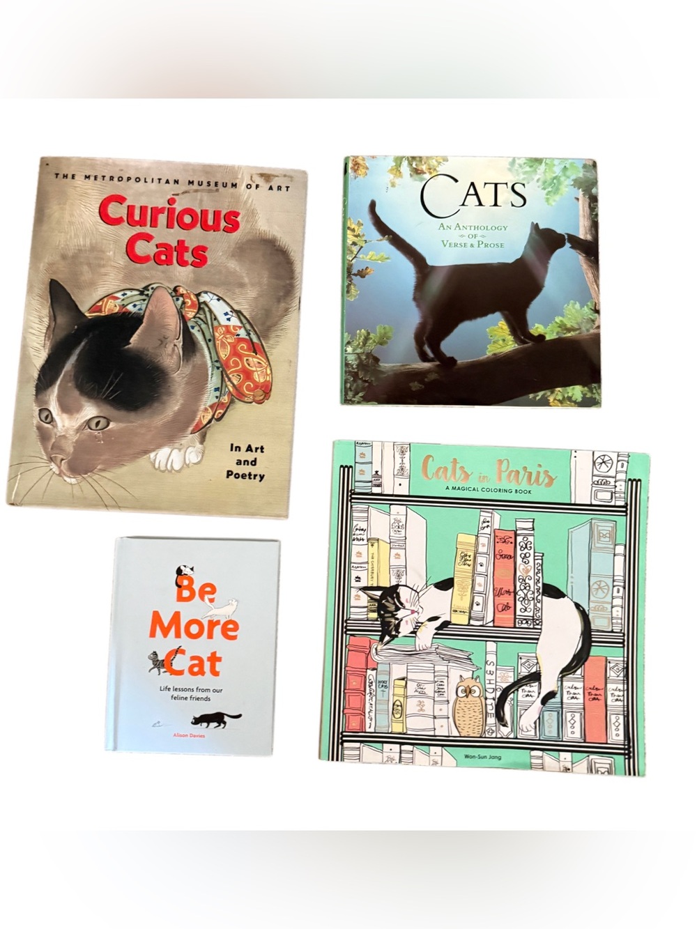 Assorted Cats Book Set lot- Multi-Color Cat-Themed Collection coloring book poem